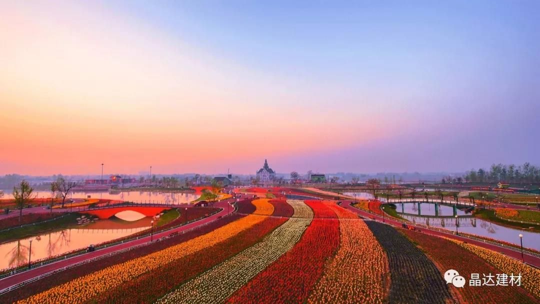 晴空瓦下，陣陣花香——新西湖瀝青瓦與荷蘭花海的“花”樣年華